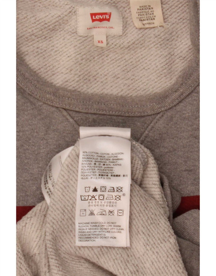 Ανδρικό γραφικό φούτερ Levi's Jumper XS Γκρι βαμβακερό