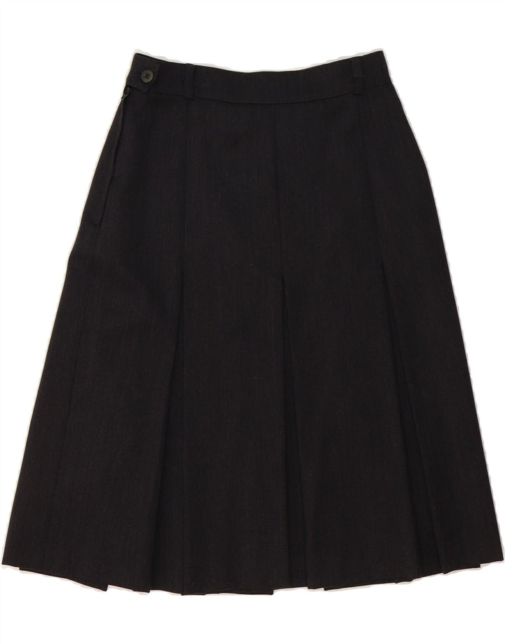 I BLUES Womens Pleated A-Line Skirt IT 42 Medium W26  Grey Acetate Vintage i Blues and Second-Hand i Blues from Messina Hembry 