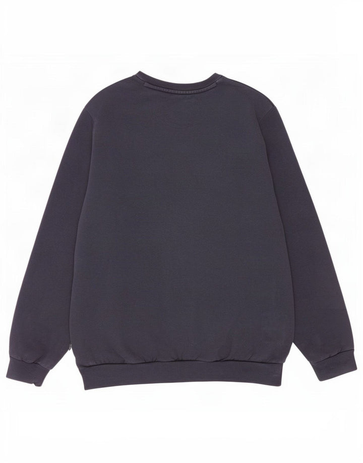 Ανδρικό φούτερ Puma Jumper Μεσαίο μπλε βαμβακερό