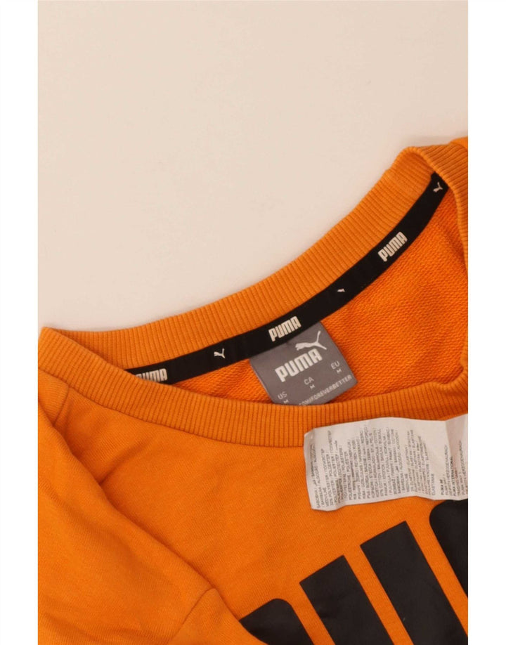 Ανδρικό γραφικό φούτερ Puma Jumper Μεσαίο πορτοκαλί βαμβακερό