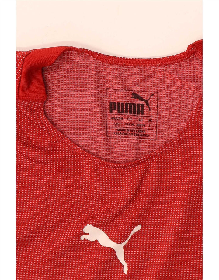 Ανδρικό γραφικό T-Shirt Puma Top μεγάλο κόκκινο ριγέ