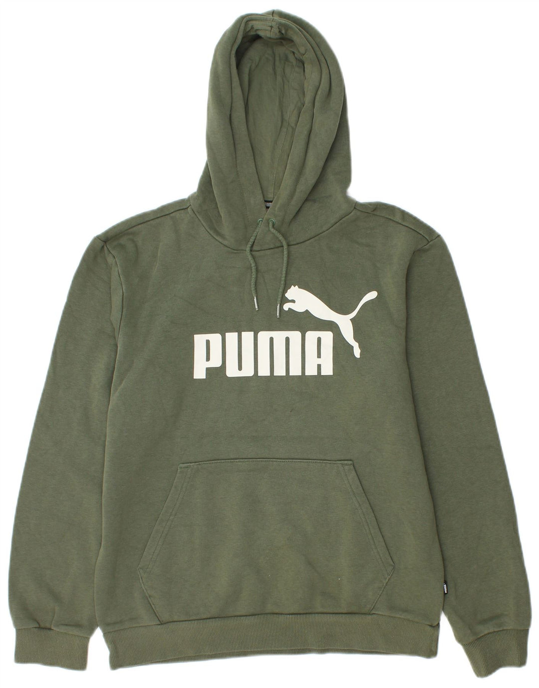 Ανδρικό γραφικό κουκούλα Puma, βαμβακερό μικρό πράσινο
