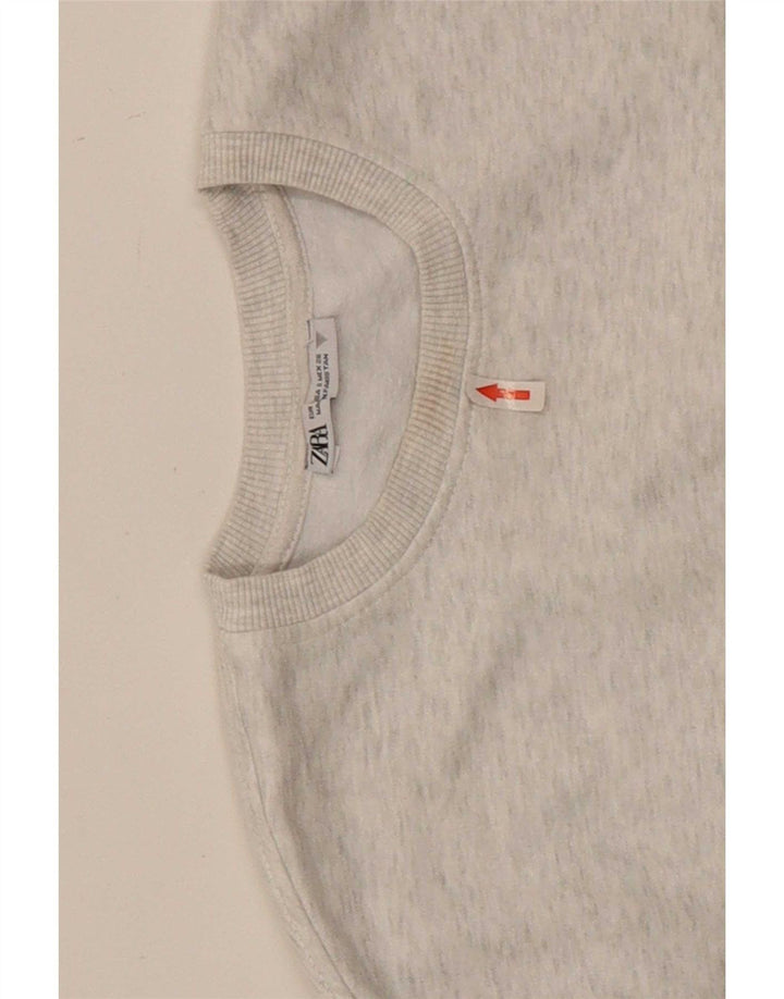 Zara γυναικεία φούτερ υπερμεγέθη Crop Jumper UK 10 Small Grey Flecked
