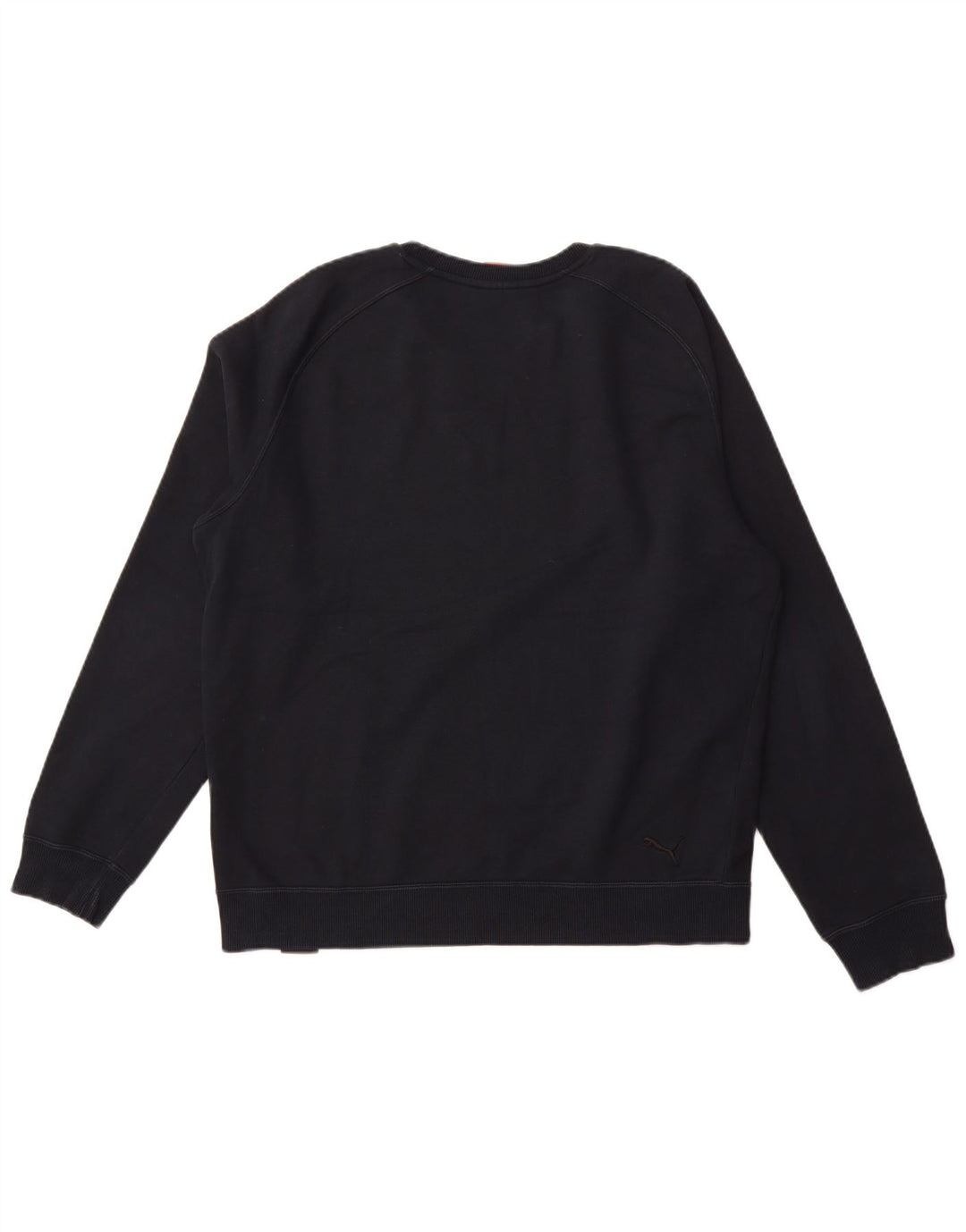 Ανδρικό γραφικό φούτερ PUMA Jumper Μεγάλο μπλε ναυτικό βαμβακερό