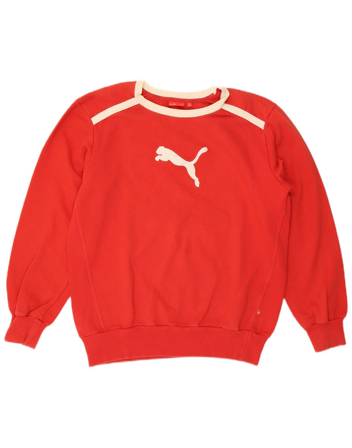 Ανδρικό γραφικό φούτερ Puma Jumper Small Red Colourblock