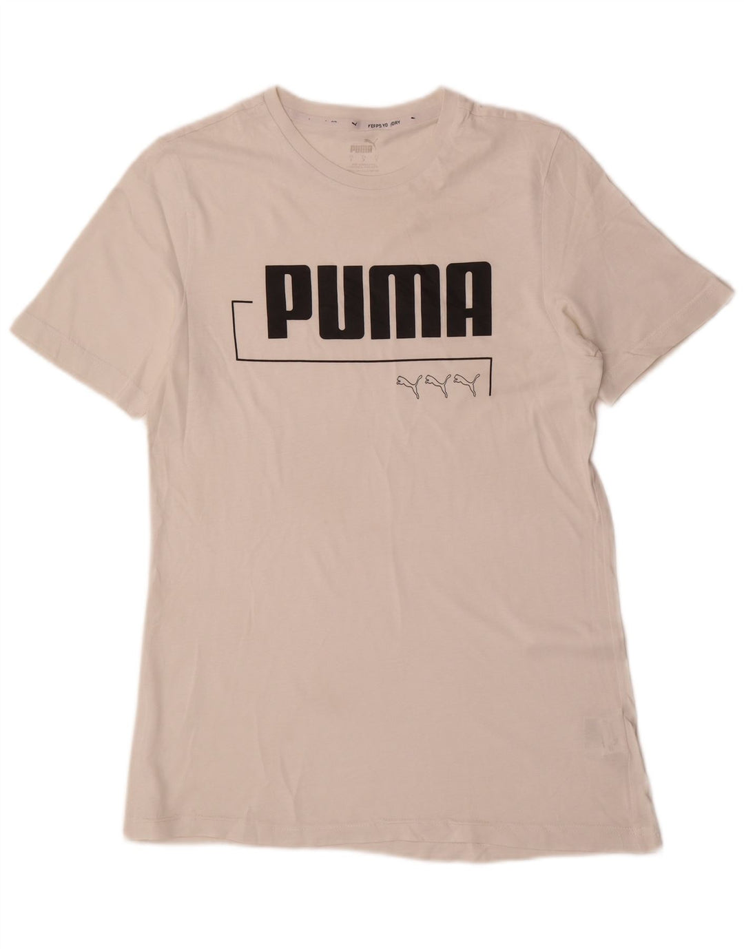 Ανδρικό γραφικό T-Shirt Puma Top Small White