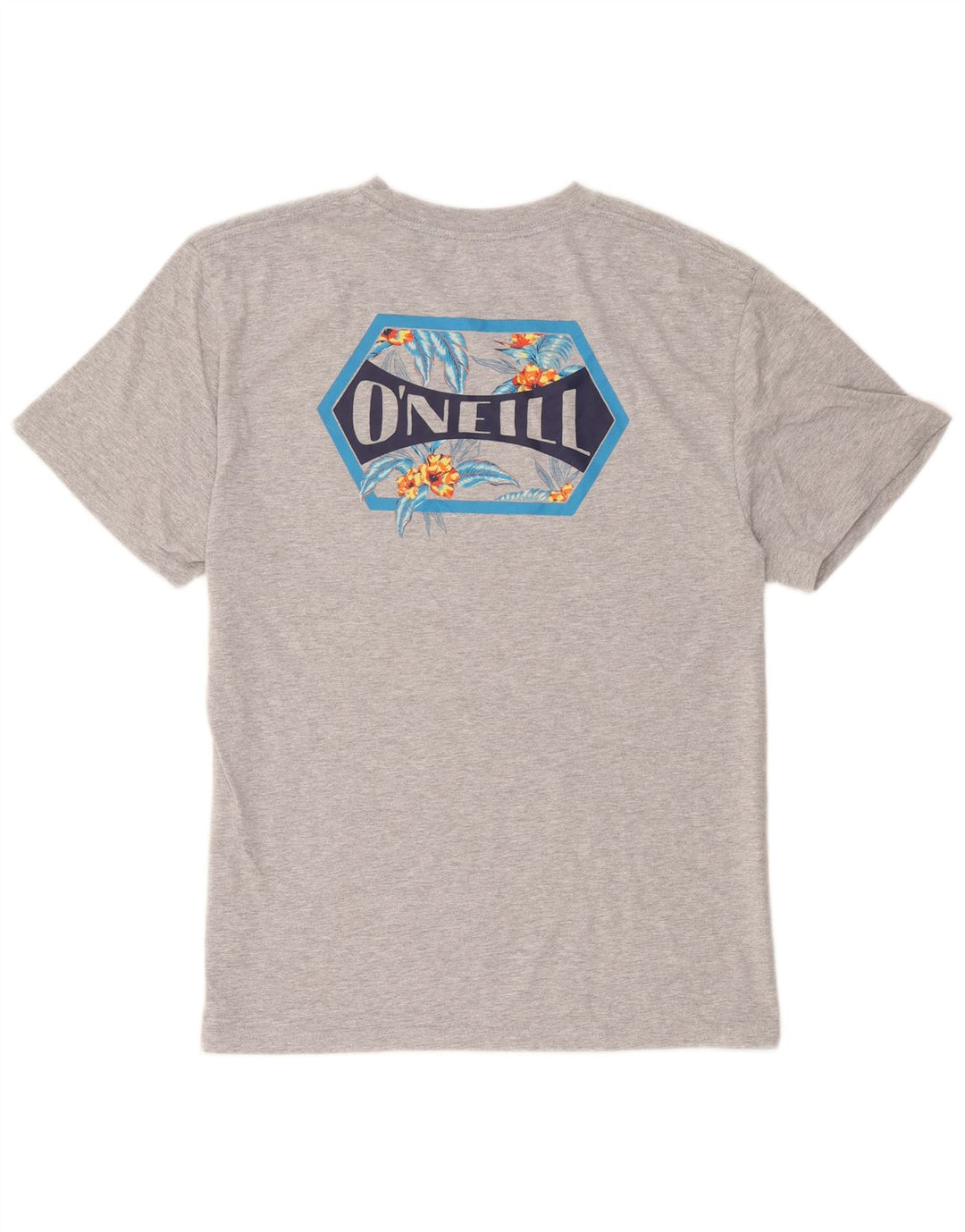 Ανδρικό T-Shirt με μοντέρνα εφαρμογή γραφικό O'Neill Top μεγάλο γκρι βαμβακερό