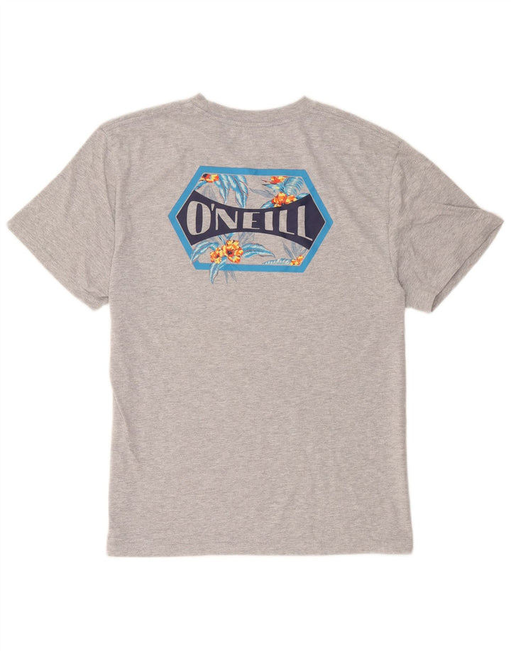 Ανδρικό T-Shirt με μοντέρνα εφαρμογή γραφικό O'Neill Top μεγάλο γκρι βαμβακερό