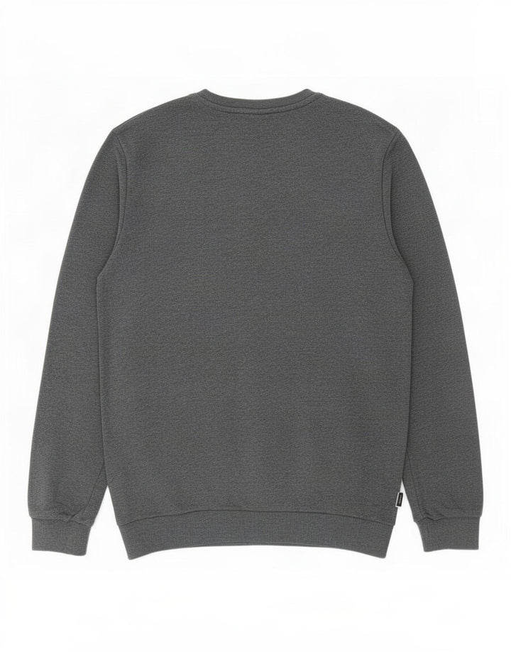 Ανδρικό φούτερ Adidas Jumper μεγάλο γκρι βαμβακερό