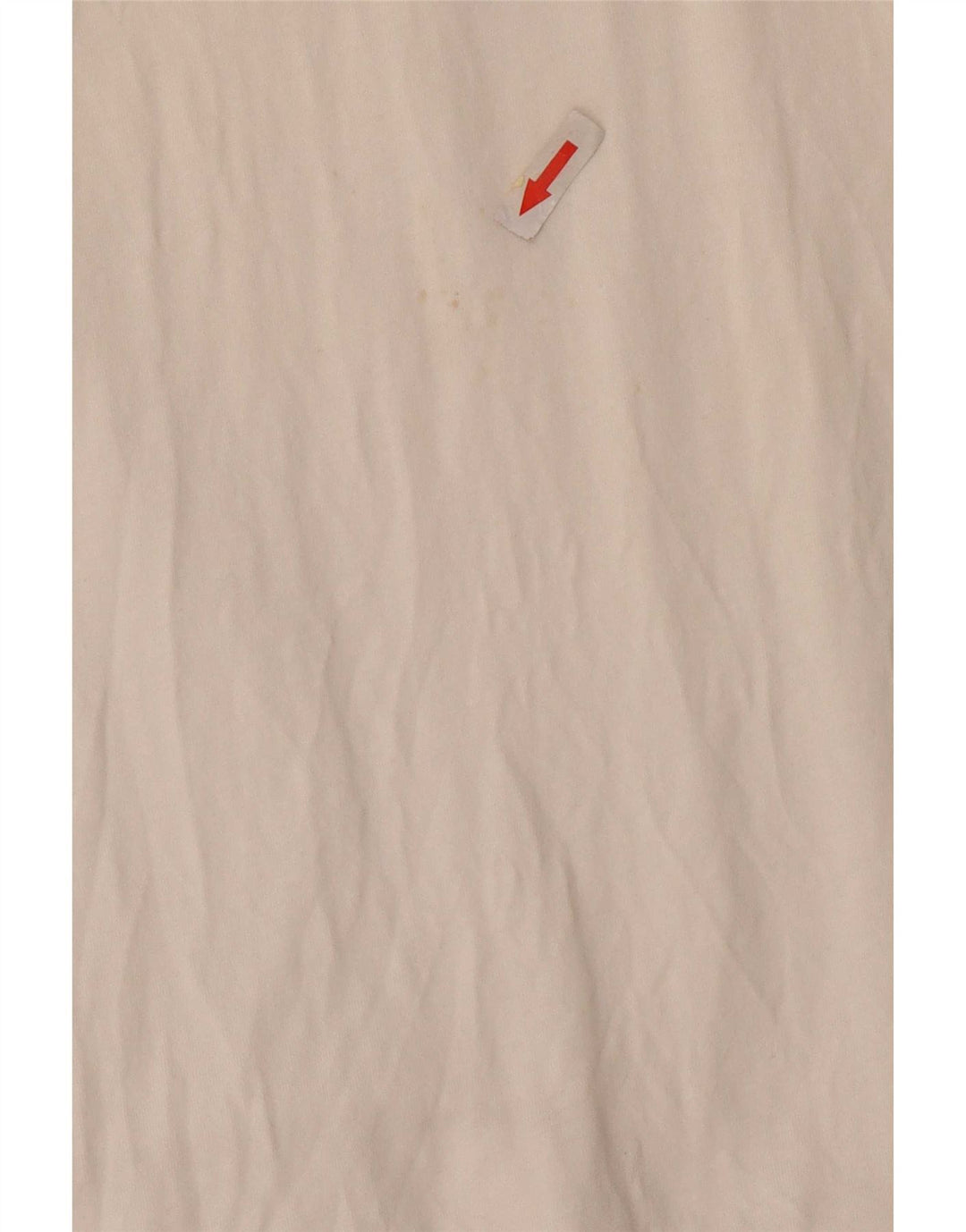 Ανδρικό μπλουζάκι Rip Curl Standard Fit Graphic Top Large White