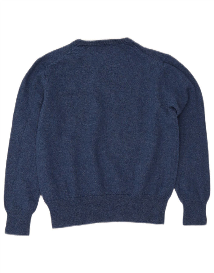 Πουλόβερ POLO RALPH LAUREN Boys Crew Neck Jumper 13-14 Years XL Navy Blue