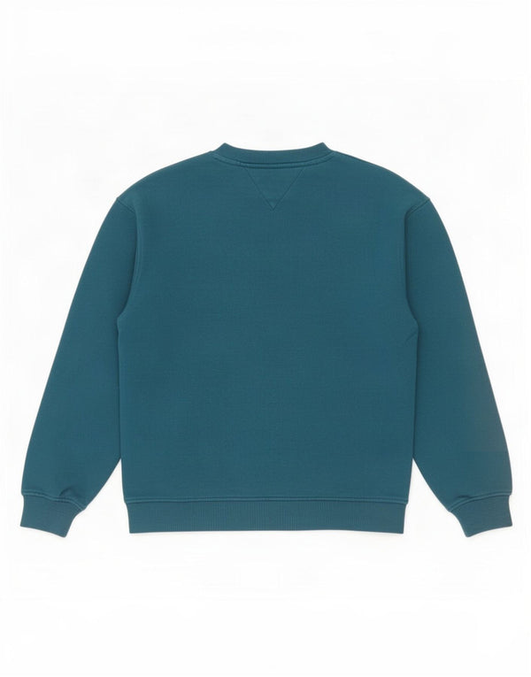 Tommy Hilfiger Boys Graphic Φούτερ Jumper 15-16 ετών Μπλε βαμβακερό