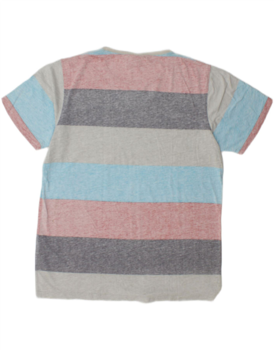Animal Ανδρικό T-Shirt Top Μεγάλο Πολύχρωμο Βαμβακερό ριγέ