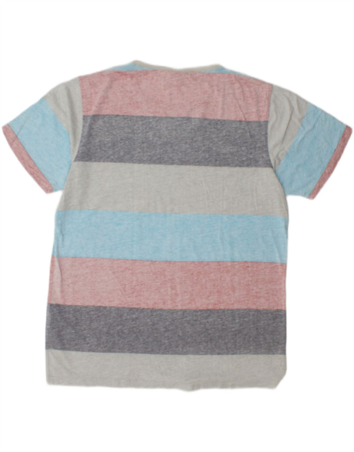 Animal Ανδρικό T-Shirt Top Μεγάλο Πολύχρωμο Βαμβακερό ριγέ