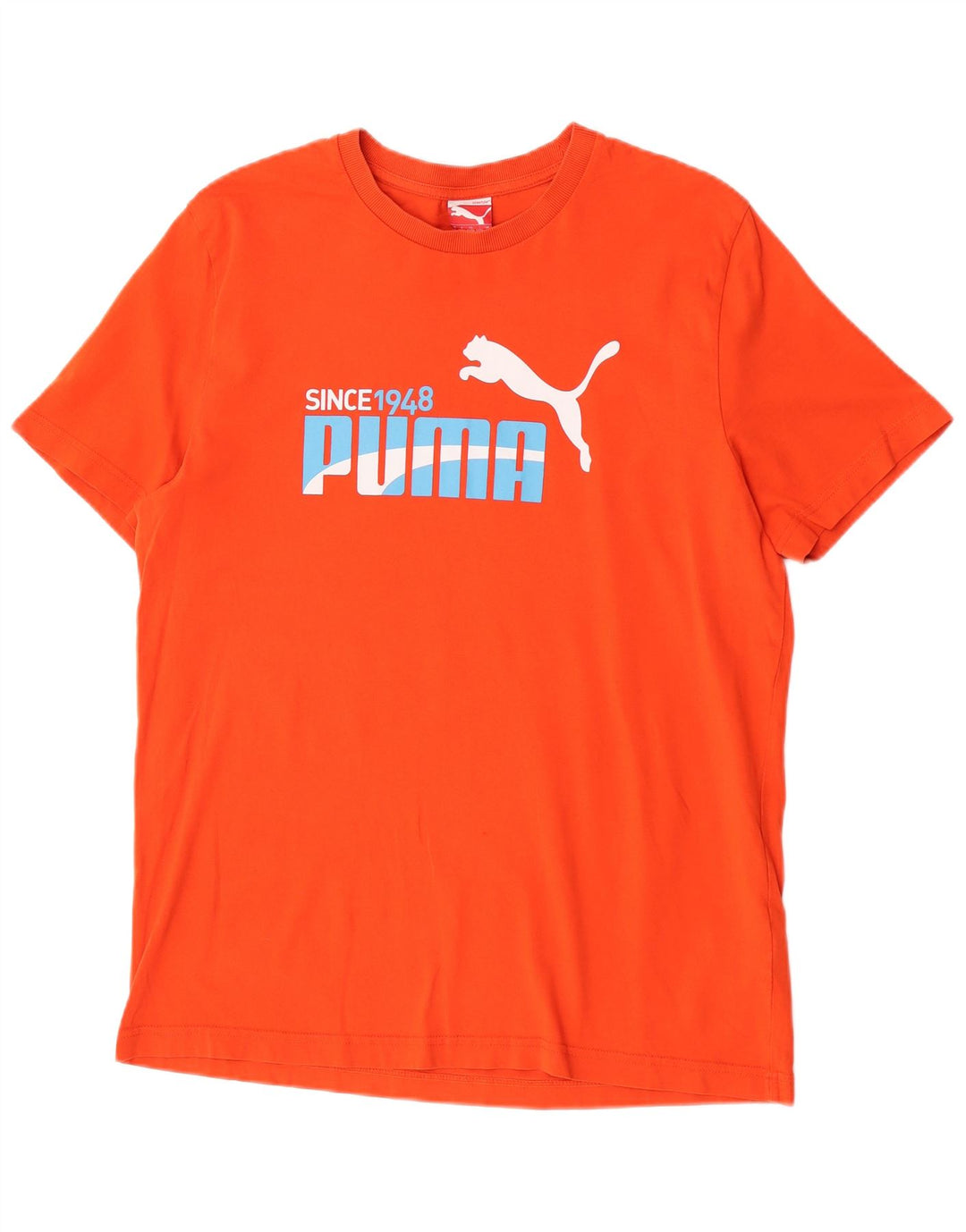 Ανδρικό γραφικό μπλουζάκι Puma Top Large Πορτοκαλί