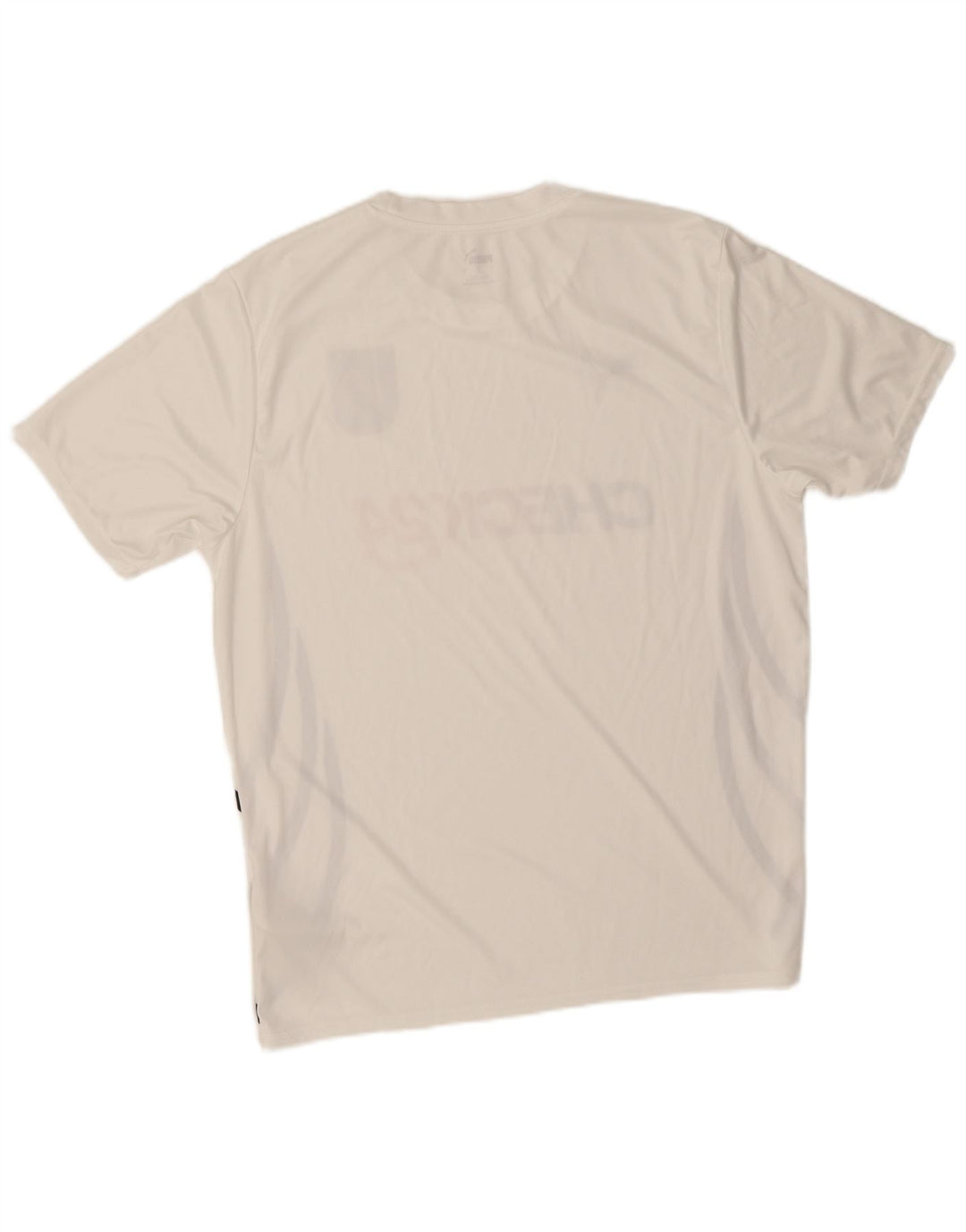Γραφικό T-Shirt Puma Mens Deutshland Top Large White Polyester