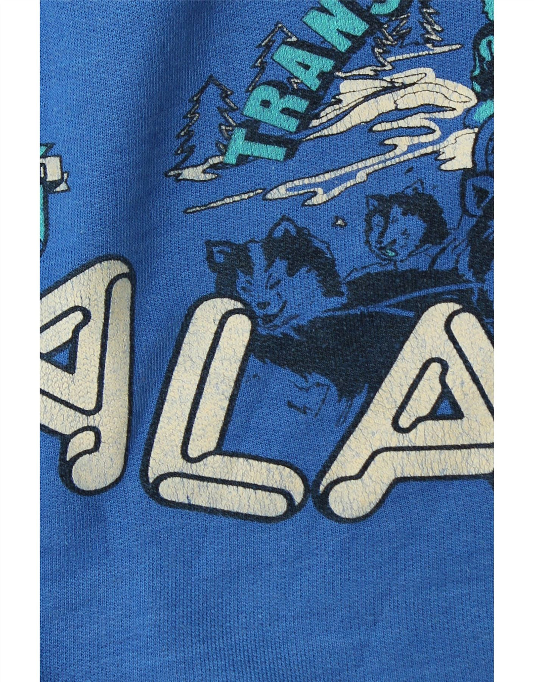 Ανδρικό γραφικό φούτερ Alaska Jumper Large Blue
