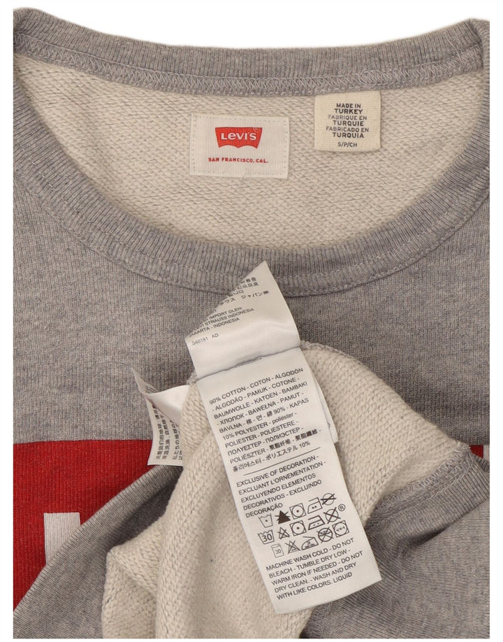 Ανδρικό γραφικό φούτερ Levi's Μικρό γκρι βαμβακερό
