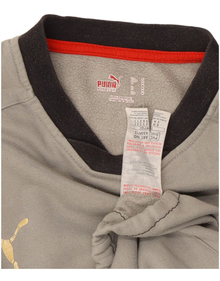 Ανδρικό φούτερ Puma Jumper, μεσαίο γκρι, βαμβακερό