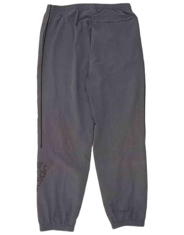 Ανδρικές φόρμες ADIDAS Graphic Παντελόνια Joggers Large Grey Polyester