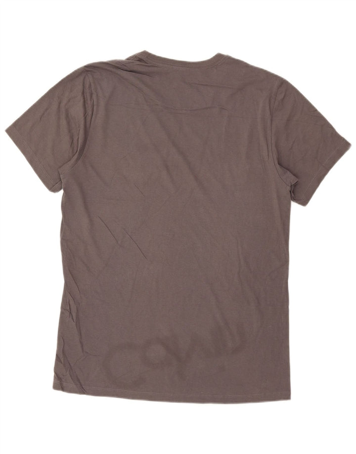 Ανδρικό γραφικό T-Shirt Calvin Klein Τοπ μεσαίο γκρι βαμβακερό