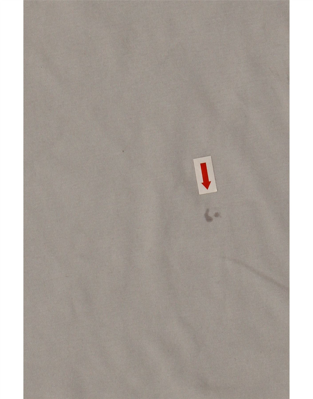 Ανδρικό γραφικό T-Shirt North Face Top Medium Grey Cotton