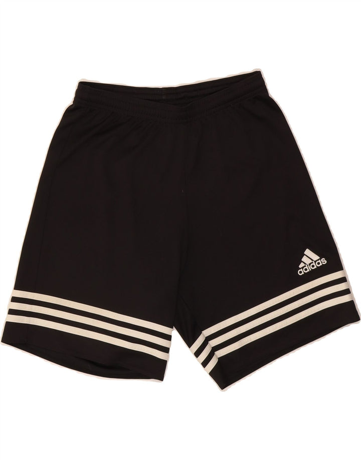 ADIDAS Mens Climalite Sport Shorts Small  Black Polyester Vintage Adidas and Second-Hand Adidas from Messina Hembry 