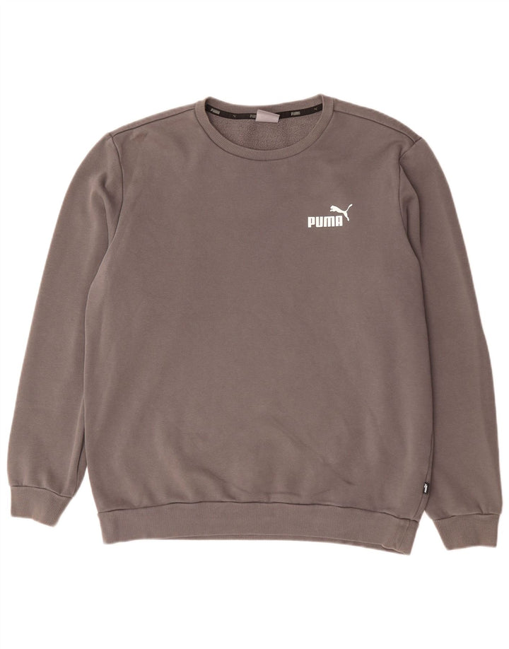 Ανδρικό φούτερ Puma Jumper Μεγάλο Γκρι Βαμβακερό