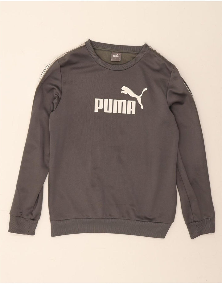 Ανδρικό γραφικό φούτερ Puma Jumper Μικρό Γκρι Πολυεστέρας