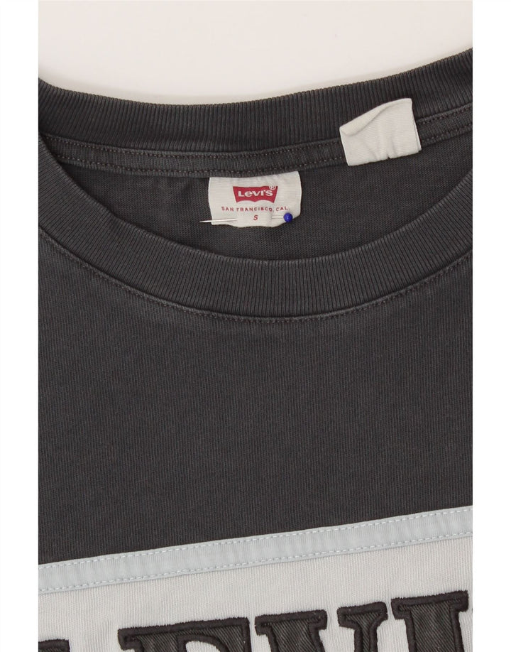 Γυναικείο μεγάλο γραφικό μπλουζάκι Levi's Top 10 Small Grey Colourblock