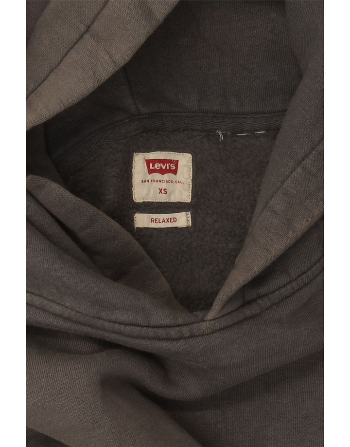 Levi's Mens Relaxed Fit Hoodie Jumper XS Grey