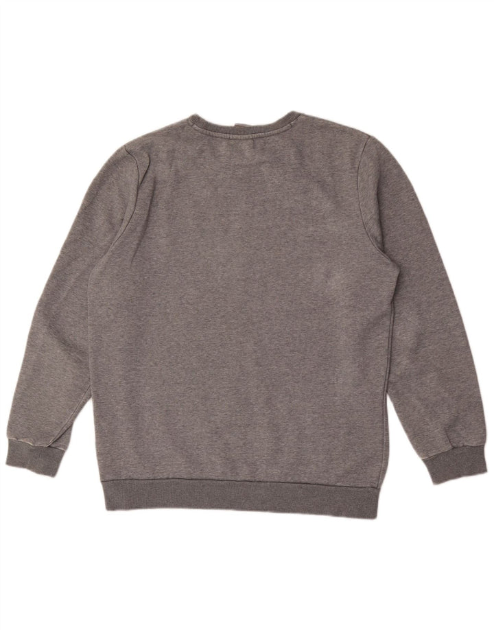 Ανδρικό γραφικό φούτερ Puma Jumper Μεσαίο γκρι βαμβακερό