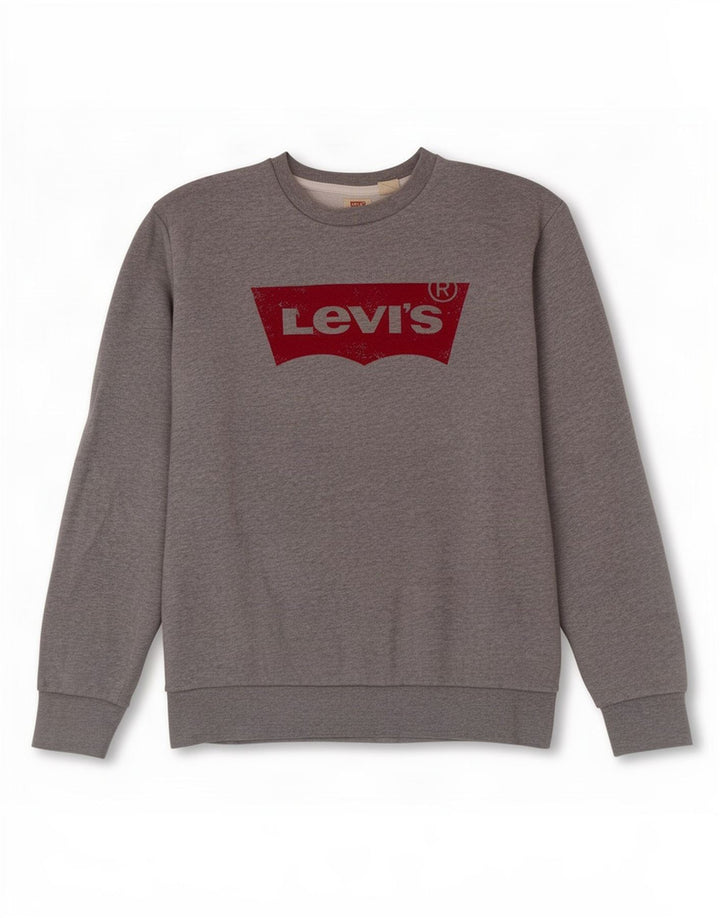 Ανδρικό γραφικό φούτερ Levi's Μικρό γκρι βαμβακερό