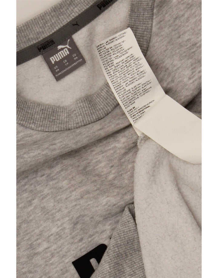 Ανδρικό γραφικό φούτερ Puma Jumper XS Γκρι βαμβακερό