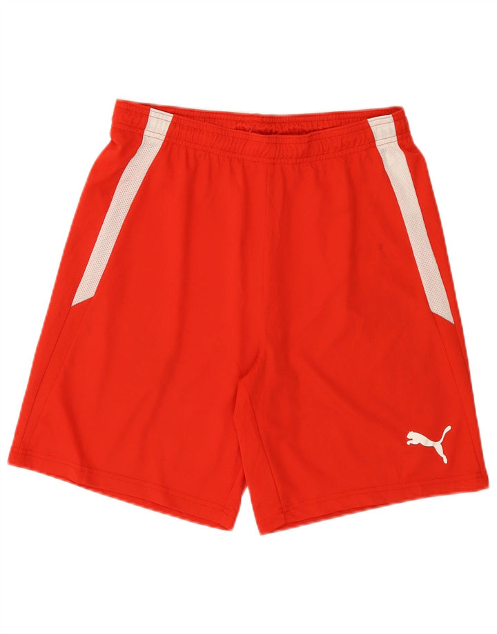Ανδρικό αθλητικό σορτς Puma, μεσαίο κόκκινο, πολυεστέρας