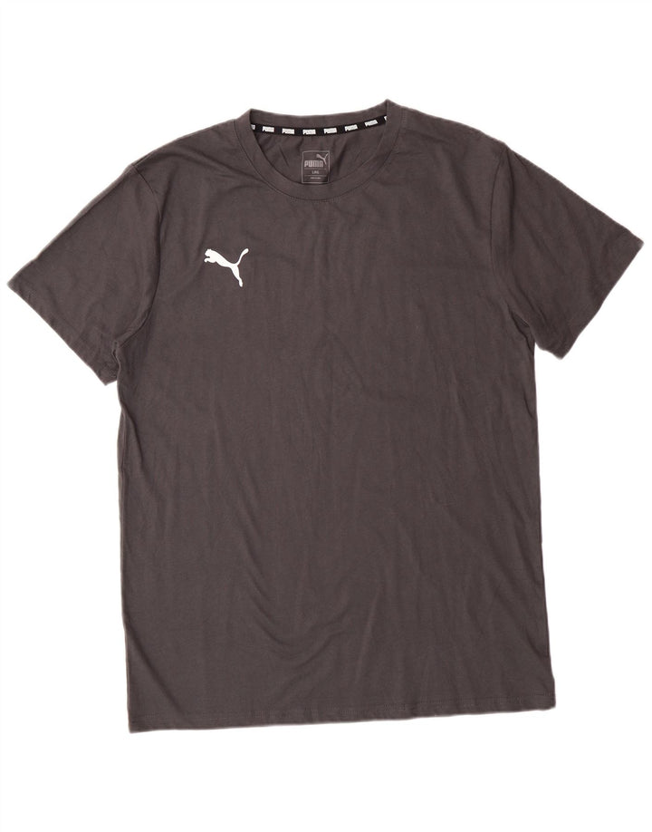 Ανδρικό T-Shirt PUMA Top μεγάλο γκρι βαμβακερό