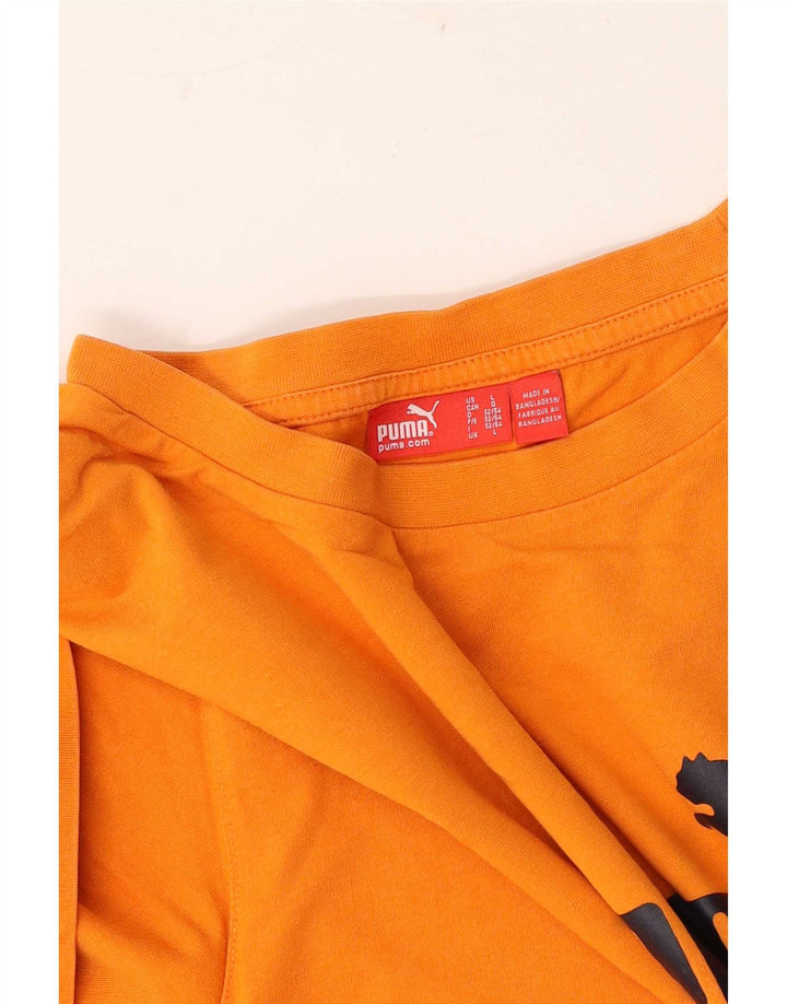 Ανδρικό γραφικό μπλουζάκι Puma Top Large Πορτοκαλί