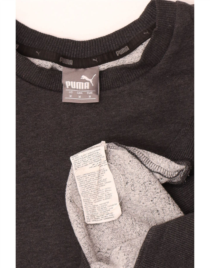 Ανδρικό φούτερ Puma Jumper Μεσαίο γκρι βαμβακερό
