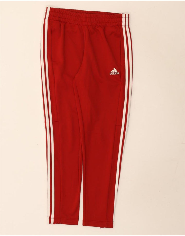 Adidas Γυναικεία φόρμα παντελόνια UK 12/14 Μεσαίο κόκκινο πολυεστέρα